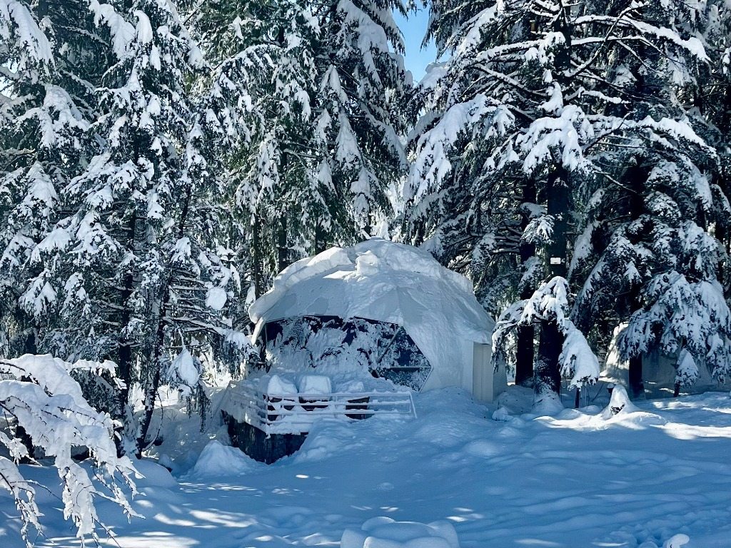 Geodesic Dome in Winter Snow Forest