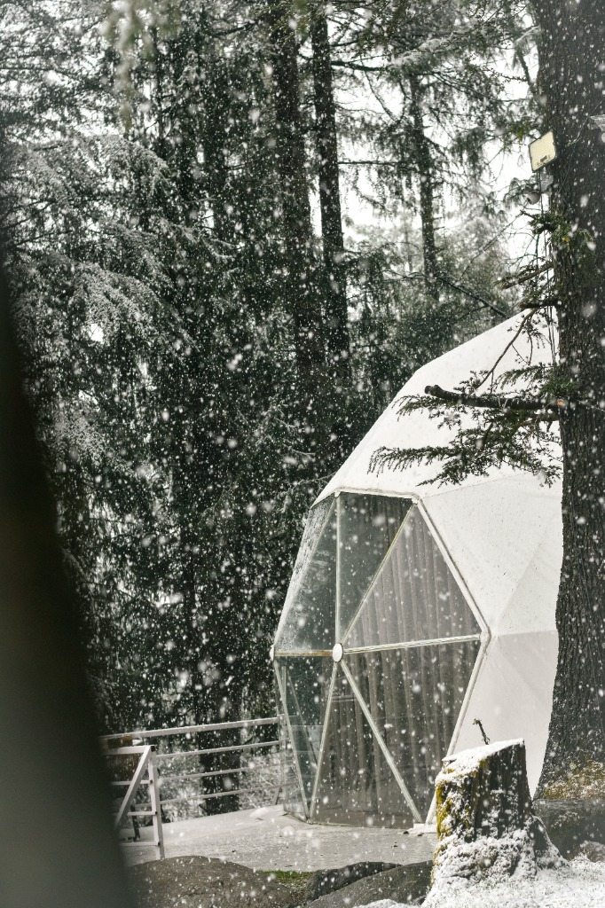 Geodesic dome during snowfall amidst pines